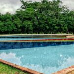 12 Creative Ways to Transform Your Yard with Pool Landscaping
