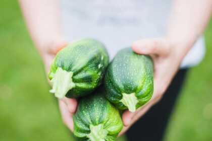 16 Healthier Alternatives to Your Favorite Comfort Foods