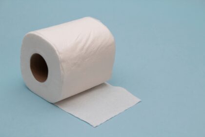 8 Creative Ways To Upcycle Toilet Paper Rolls